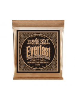 Струны для акустической гитары ERNIE BALL 2548 EVERLAST COATED PHOSPHOR BRONZE LIGHT 11-52 