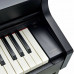 Цифровое пианино CASIO CELVIANO AP-470BK