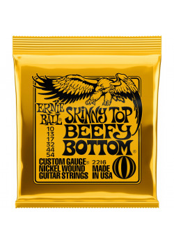 Струны для электрогитары Ernie Ball 2216 Skinny Top Beefy Bottom Nickel Wound