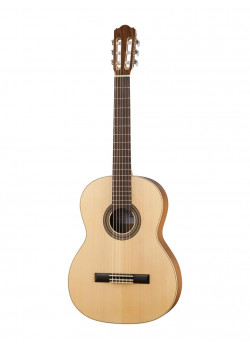 SS300 Eco Walnut Классическая гитара Hora