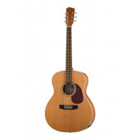 J10400 Jumbo Solo Акустическая гитара, Hora