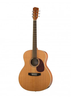 J10400 Jumbo Solo Акустическая гитара, Hora