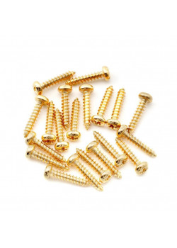 MX3030GD-20 Саморез 2,1х10мм, золото, 20 шт, Musiclily