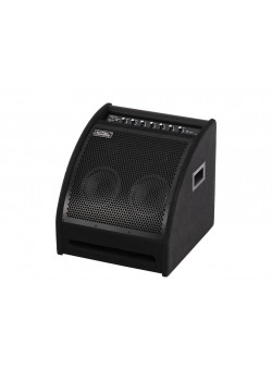 DS200 Монитор для электронной ударной установки, 200Вт, Soundking