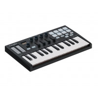 PANDAMINI-II MIDI-контроллер, 25 клавиш, LAudio